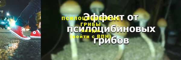 PSILOCYBIN Богородицк