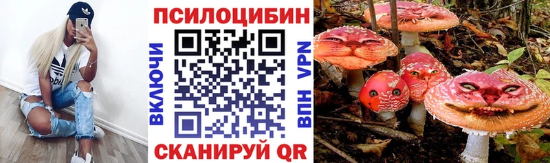 Галлюциногенные грибы Psilocybine cubensis  купить наркотики сайты  Берёзовка 